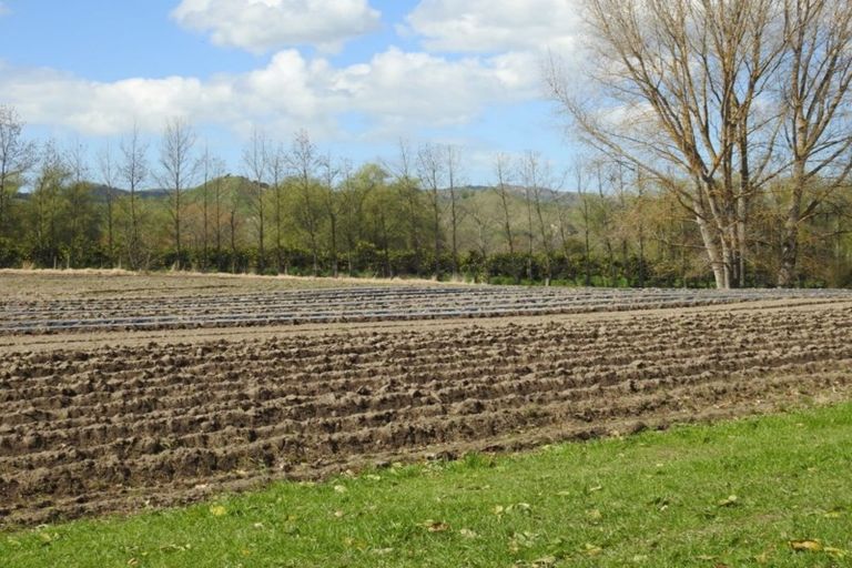 Photo of property in 1468 Matawai Road, Ormond, Gisborne, 4071