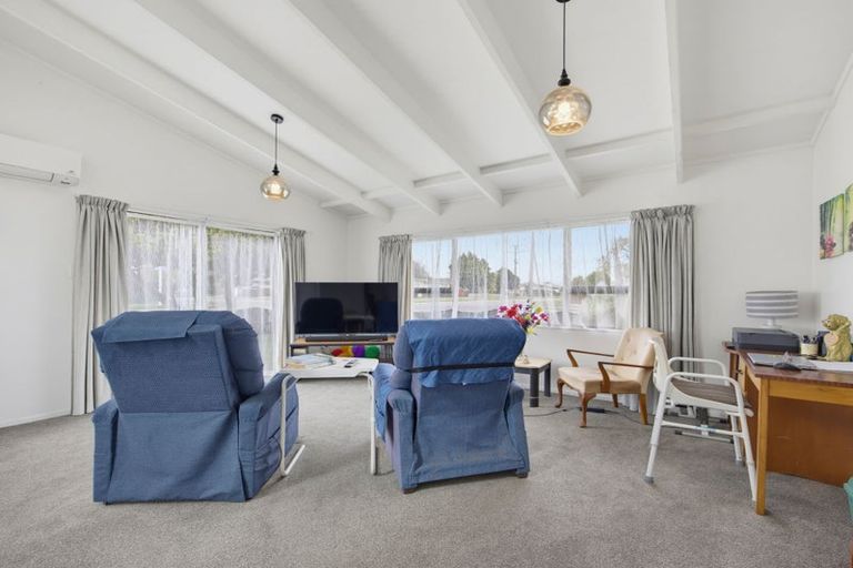 Photo of property in 133 Tiro Tiro Road, Levin, 5510