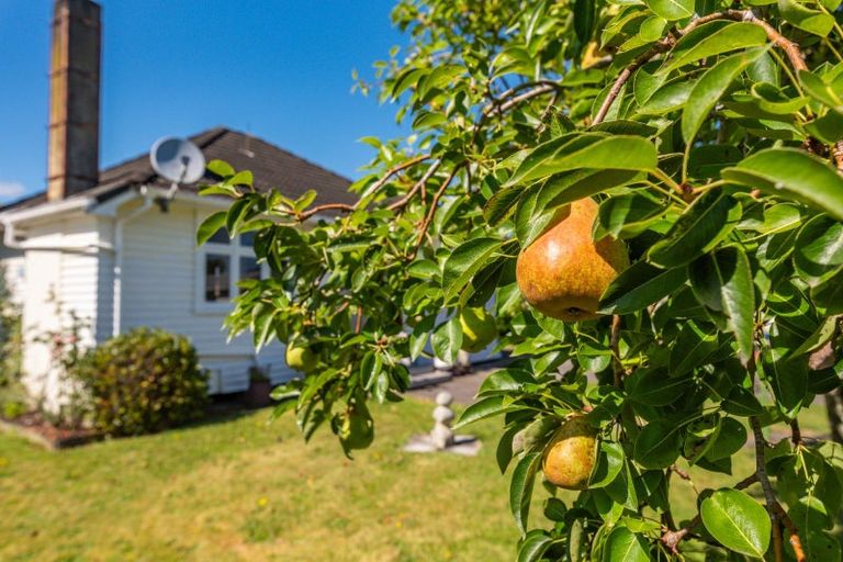 Photo of property in 39 Whittaker Street, Shannon, 4821