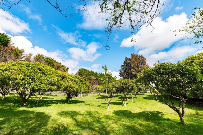 Photo of property in 325 Sandspit Road, Warkworth, 0982