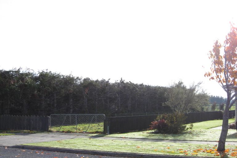 Photo of property in 38 Carlyle Street, Mataura, 9712