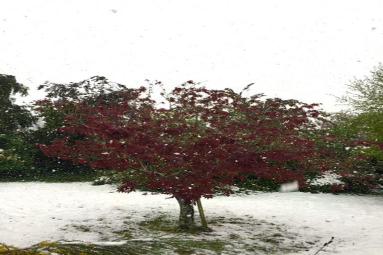 Photo of property in 32 Forest Street, Tapanui, 9522