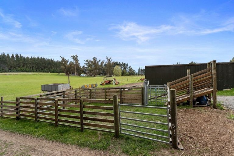 Photo of property in 167 Marshmans Road, Ashley, Rangiora, 7477