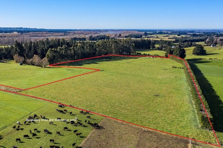 Photo of property in 659 Mount Thomas Road, Fernside, 7471