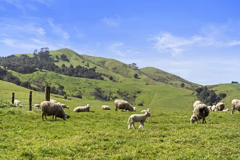 Photo of property in 255 Razorback Road, Bombay, 2472