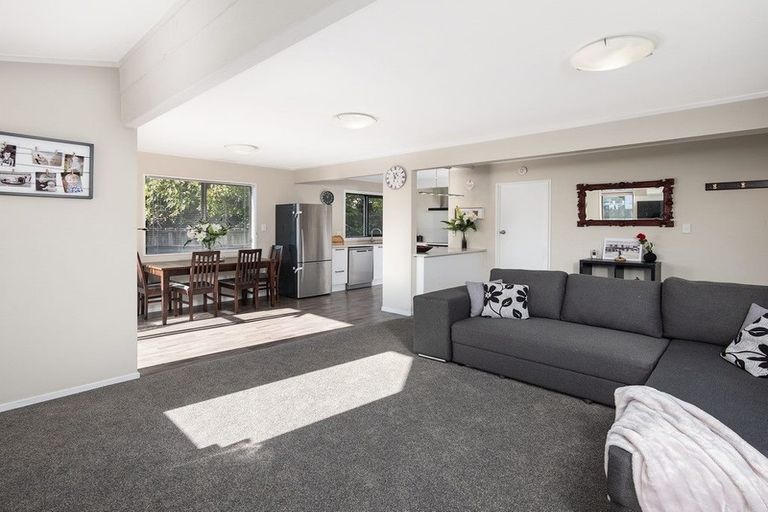 Photo of property in 50a Millers Road, Brookfield, Tauranga, 3110
