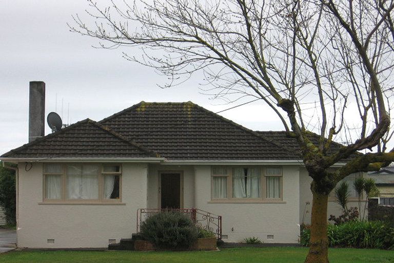 Photo of property in 9 Sussex Street, Levin, 5510