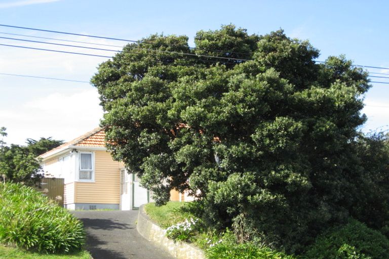 Photo of property in 39 Fitzherbert Avenue, Springvale, Whanganui, 4501