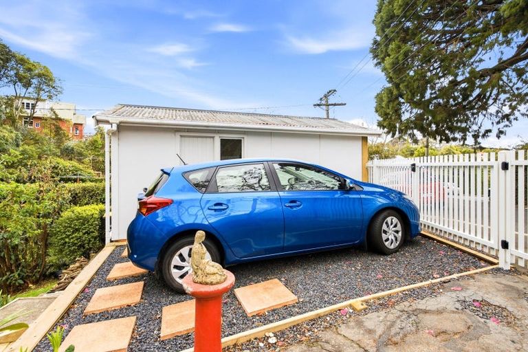 Photo of property in 41 Littlebourne Road, Roslyn, Dunedin, 9010