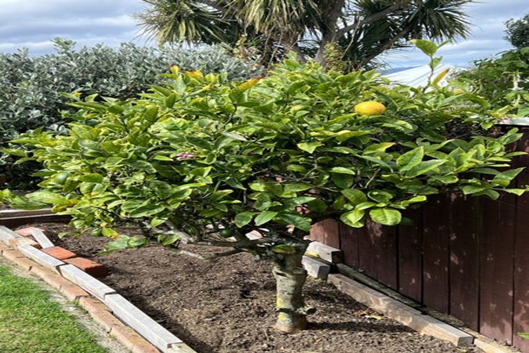 Photo of property in 7 Naughton Terrace, Kilbirnie, Wellington, 6022