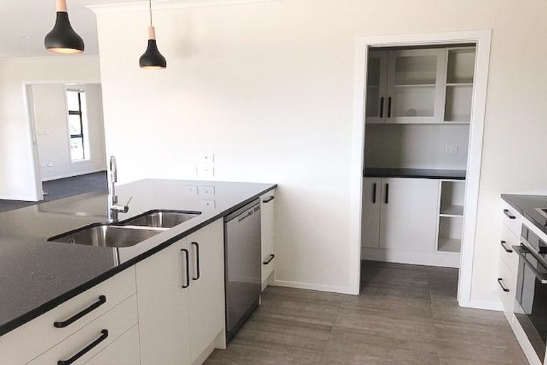 Photo of property in 8 Tapuhikura Street, Waikanae, 5036