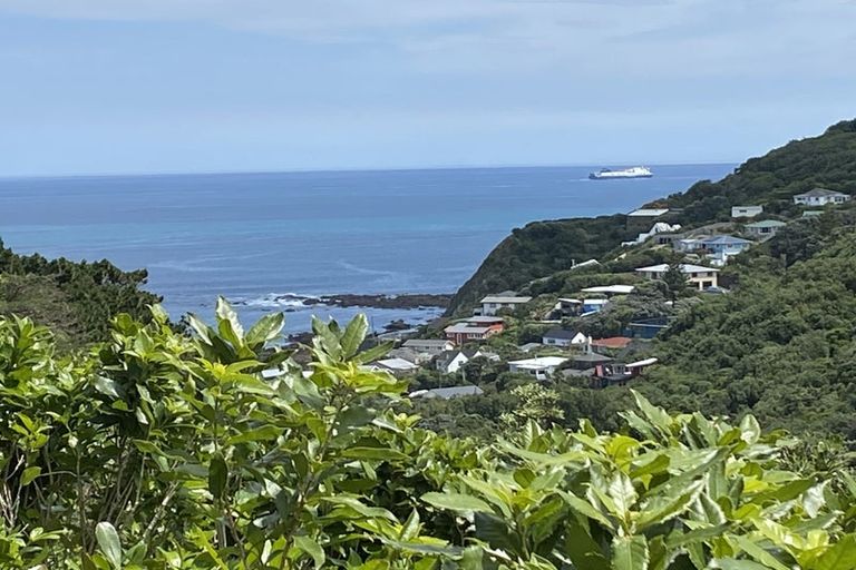 Photo of property in 145a Houghton Bay Road, Houghton Bay, Wellington, 6023