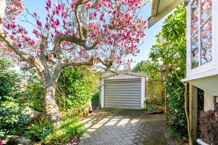 Photo of property in 17 Te Aroha Street, Hamilton East, Hamilton, 3216