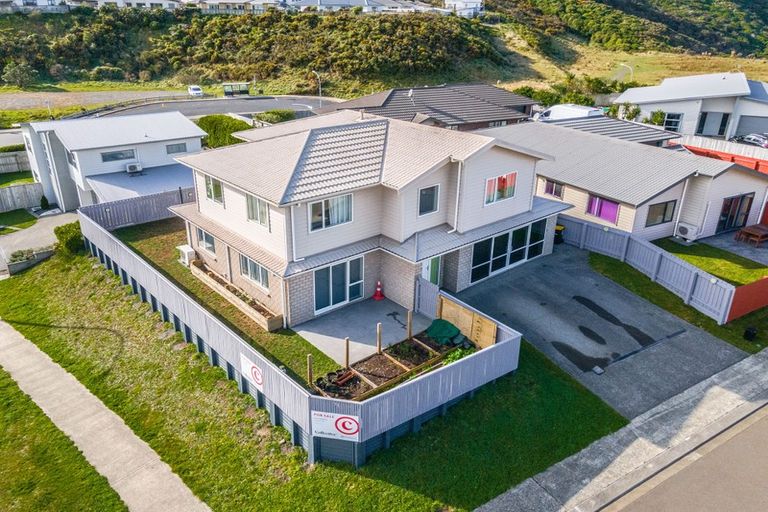 Photo of property in 1 Saint Lucia Place, Grenada Village, Wellington, 6037