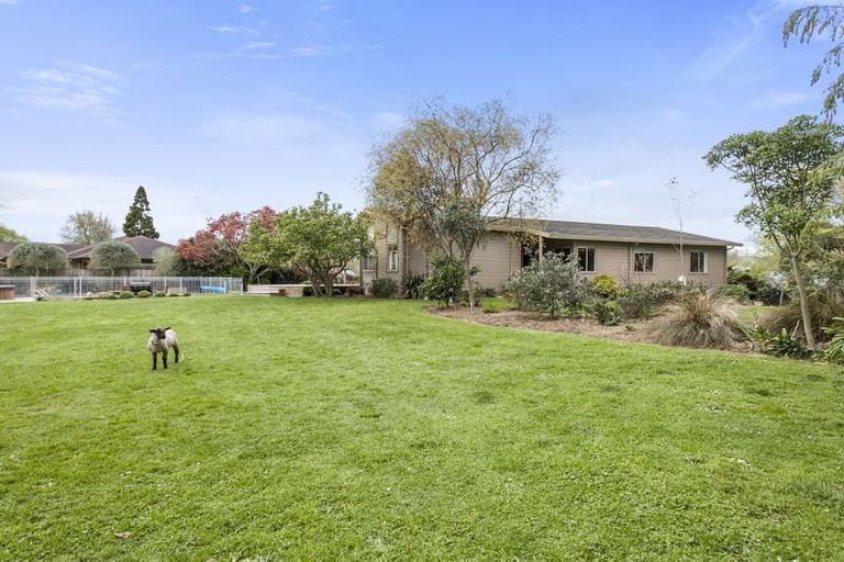 Photo of property in 19 Banks Road, Matamata, 3400