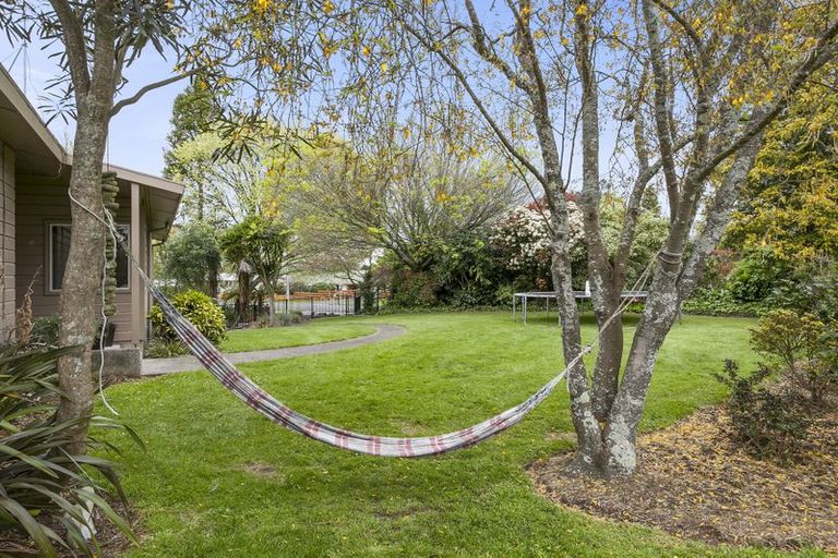 Photo of property in 19 Banks Road, Matamata, 3400