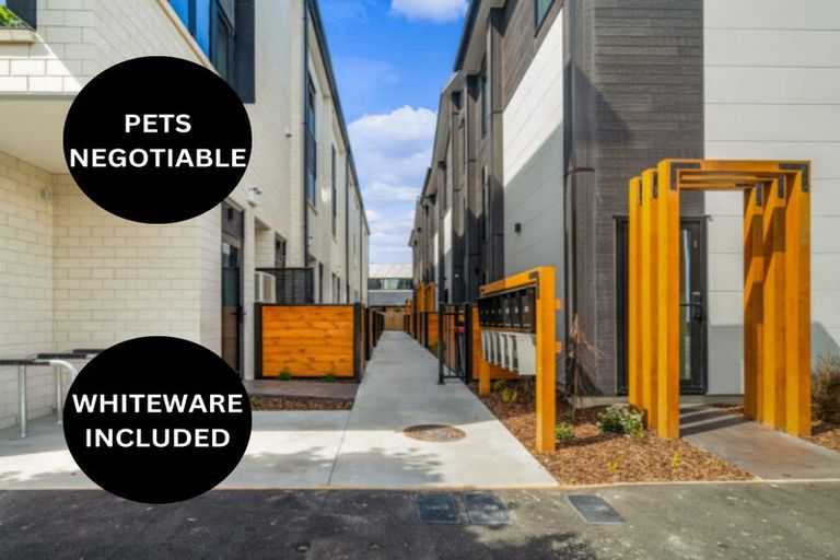 Photo of property in 29 Gibbs Drive, Woodend, 7610