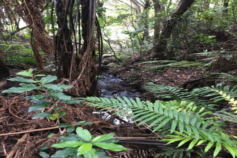 Photo of property in 112 Piha Road, Piha, 0772