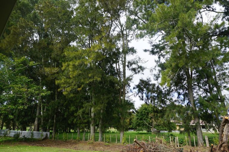 Photo of property in 65 James Henry Crescent, Huntly, 3700