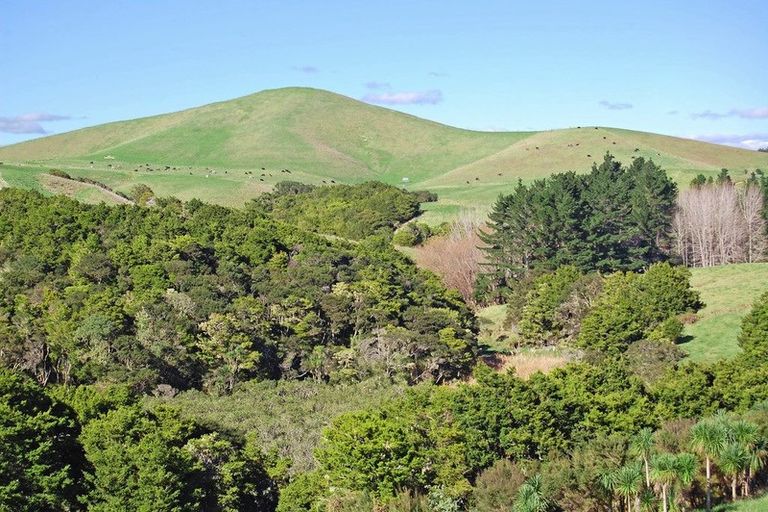 Photo of property in 16 Barnfield Road, Kaiwaka, 0573