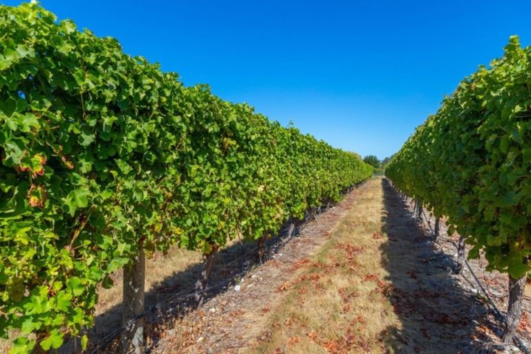 Photo of property in 140 Neal Road, Spring Creek, Blenheim, 7273