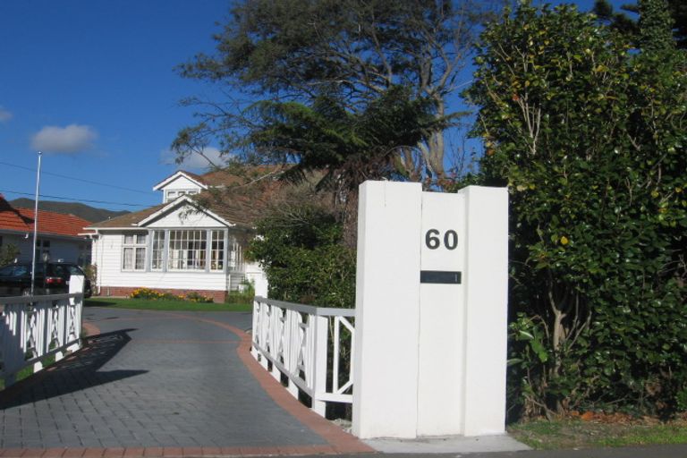 Photo of property in 60 Kings Crescent, Hutt Central, Lower Hutt, 5010