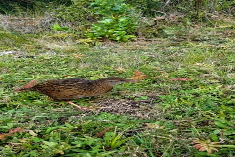 Photo of property in 67e Blue Spur Road, Blue Spur, Hokitika, 7882