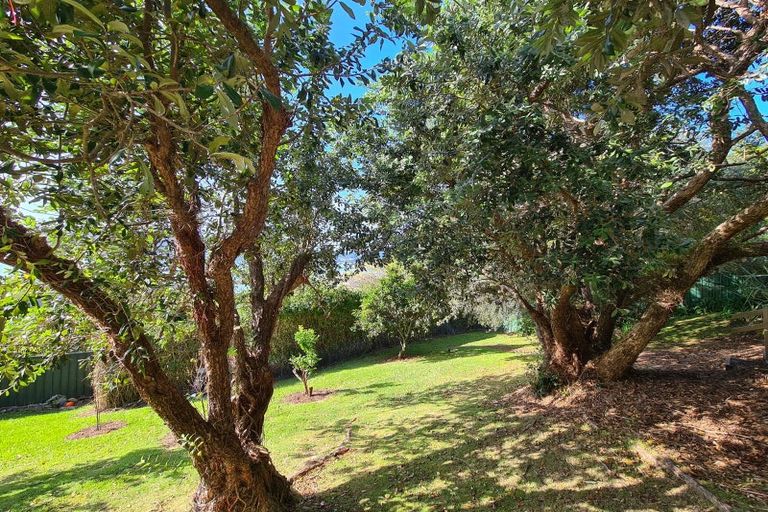 Photo of property in 2475 Wyuna Bay Road, Wyuna Bay, Coromandel, 3581