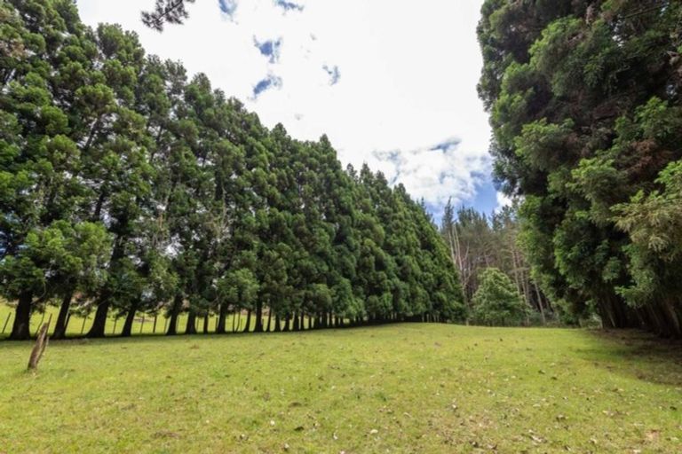 Photo of property in 37 Shirley Road, Waipapa, Kerikeri, 0295
