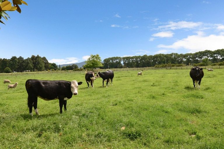 Photo of property in 14 Woodward Road, Orini, Taupiri, 3792