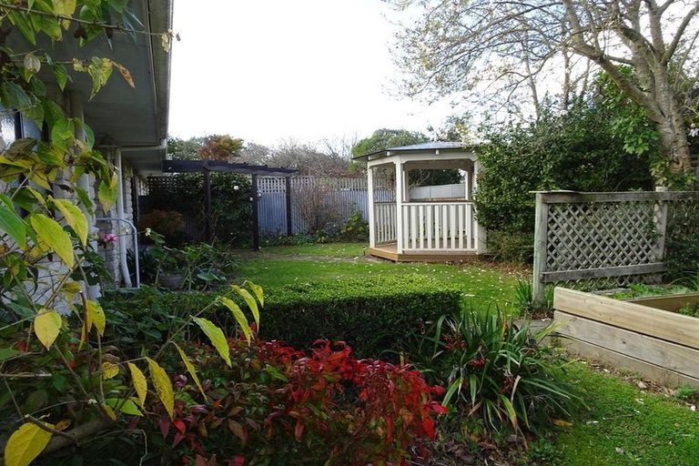 Photo of property in 55b Middle Road, Havelock North, 4130