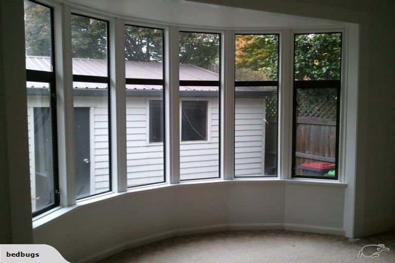 Photo of property in 14 Tui Street, Fendalton, Christchurch, 8041