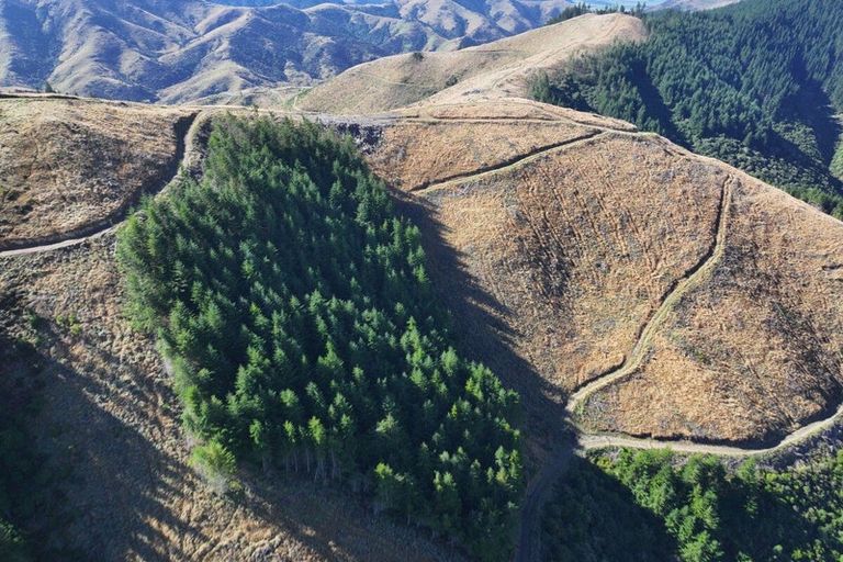 Photo of property in 49 Te Moana Road, Waikanae Beach, Waikanae, 5036