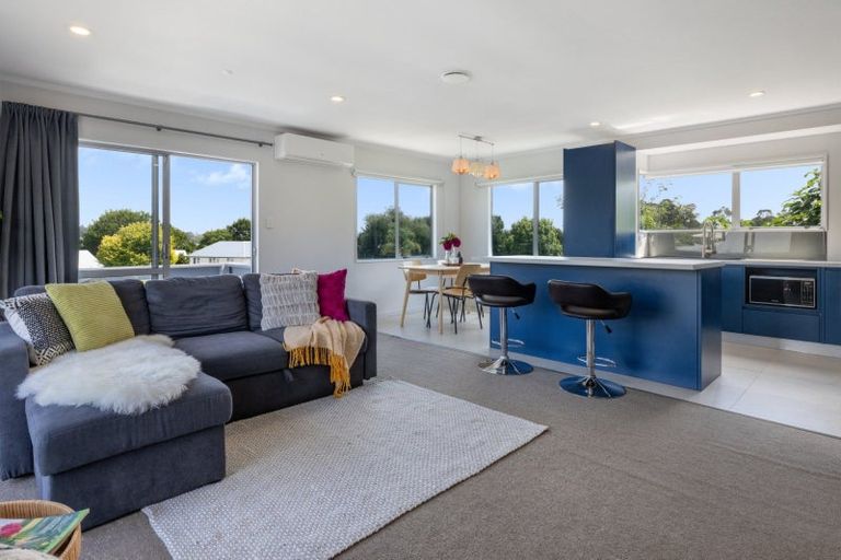 Photo of property in 6c Mansfield Street, Hairini, Tauranga, 3112