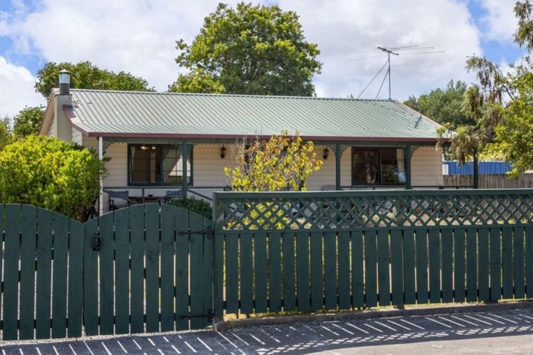 Photo of property in 61 Dublin Street, Martinborough, 5711