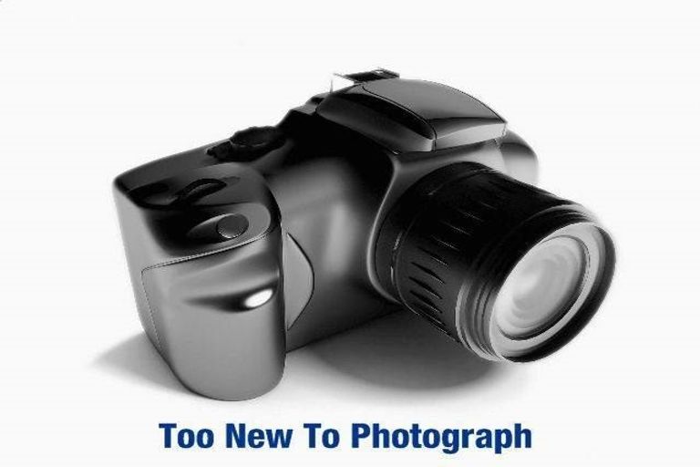 Photo of property in Albany Gardens, 55 Masons Road, Oteha, Auckland, 0632