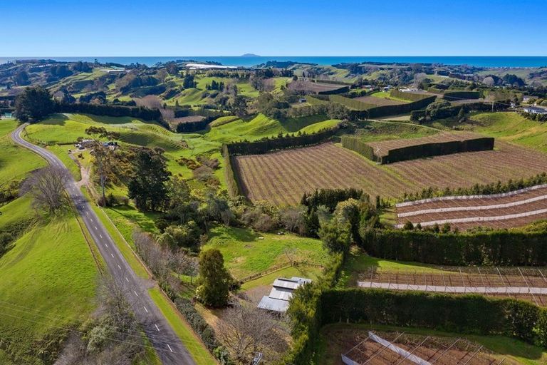 Photo of property in 399 Verrall Road, Waiotahe, Opotiki, 3198