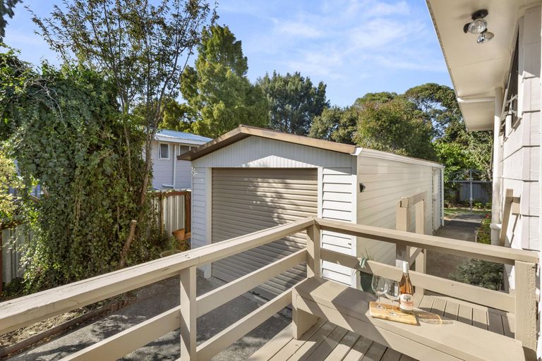 Photo of property in 41 Hibiscus Avenue, Hamilton Lake, Hamilton, 3204