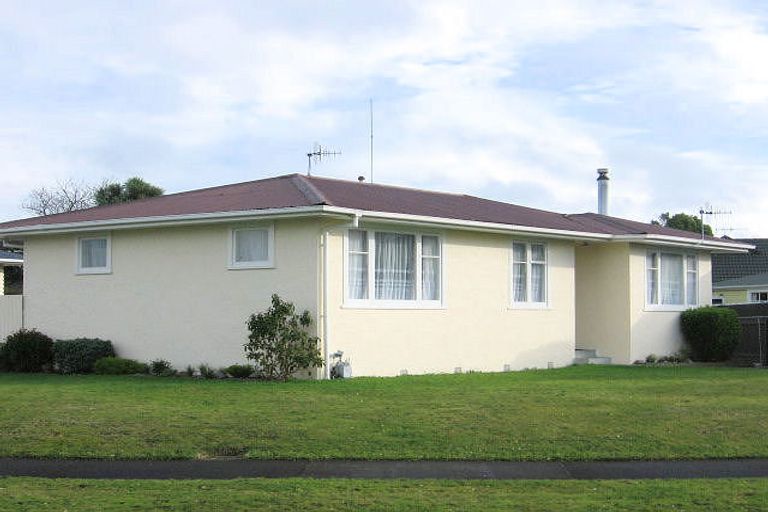 Photo of property in 143 Limbrick Street, Terrace End, Palmerston North, 4410