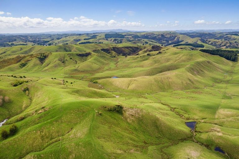 Photo of property in 390 North Road, North East Valley, Dunedin, 9010