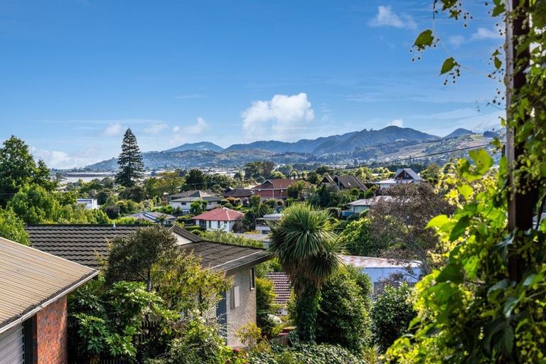 Photo of property in 12 Surrey Road, Richmond, 7020