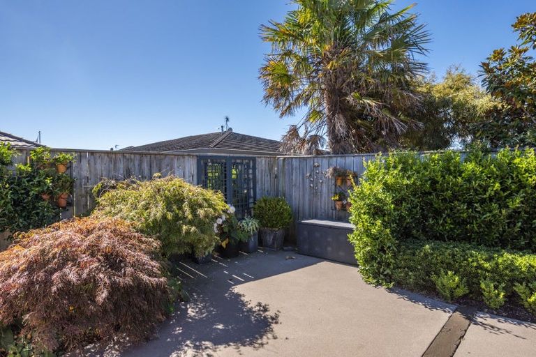 Photo of property in 82 Regent Drive, Paraparaumu Beach, Paraparaumu, 5032