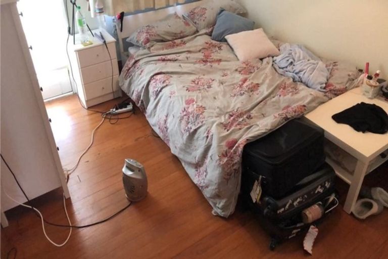 Photo of property in 269 Mount Albert Road, Wesley, Auckland, 1041