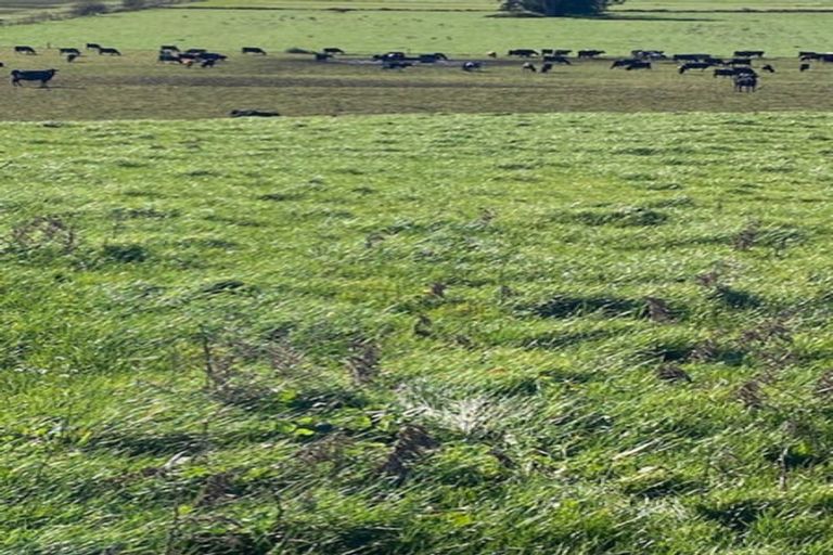 Photo of property in 89 Robertson Road, Whatawhata, Hamilton, 3289