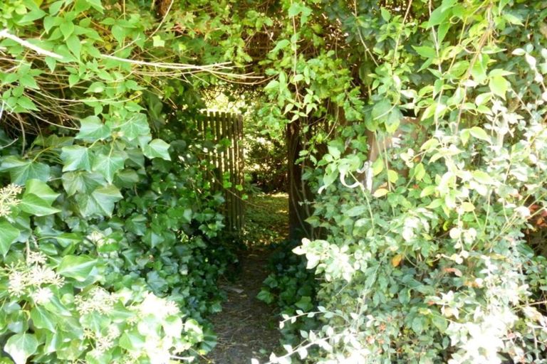 Photo of property in 53 Mckenzie Street, Geraldine, 7930