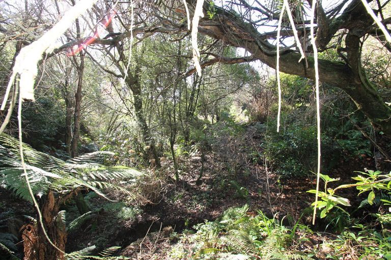 Photo of property in 63 Martin Road, Fairfield, Dunedin, 9018