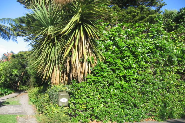 Photo of property in 58 Kings Crescent, Hutt Central, Lower Hutt, 5010