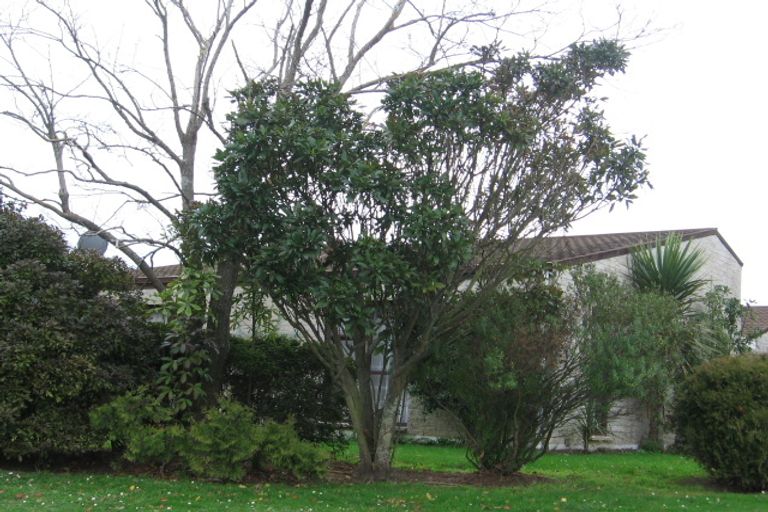 Photo of property in 133 Benmore Avenue, Cloverlea, Palmerston North, 4412