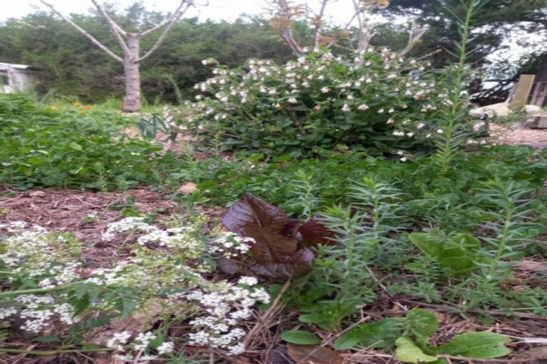 Photo of property in 32 Reidston Road, Reidston, Oamaru, 9492