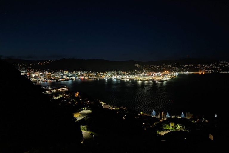 Photo of property in 39 Robieson Street, Roseneath, Wellington, 6011